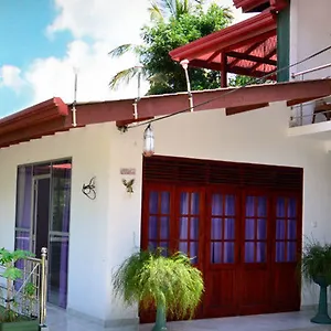 Evening Star Guest Guest house